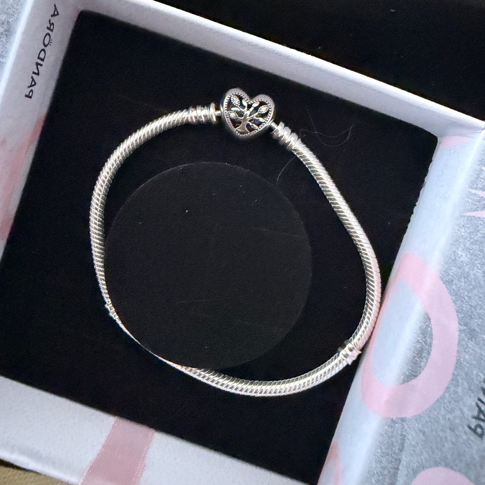 Family Tree Heart Clasp Snake Chain Bracelet